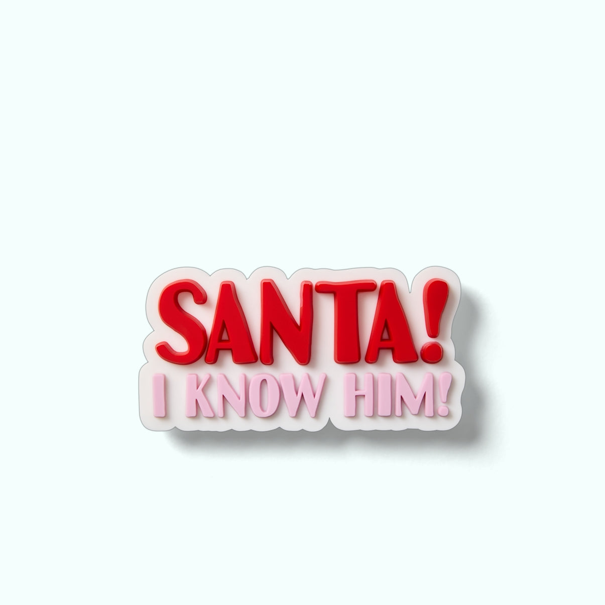Bogg Bit Santa! I Know Him! Pool Gear Organizer Heavy Duty Washable Waterproof Phone Pouch Included for Resort Vacations